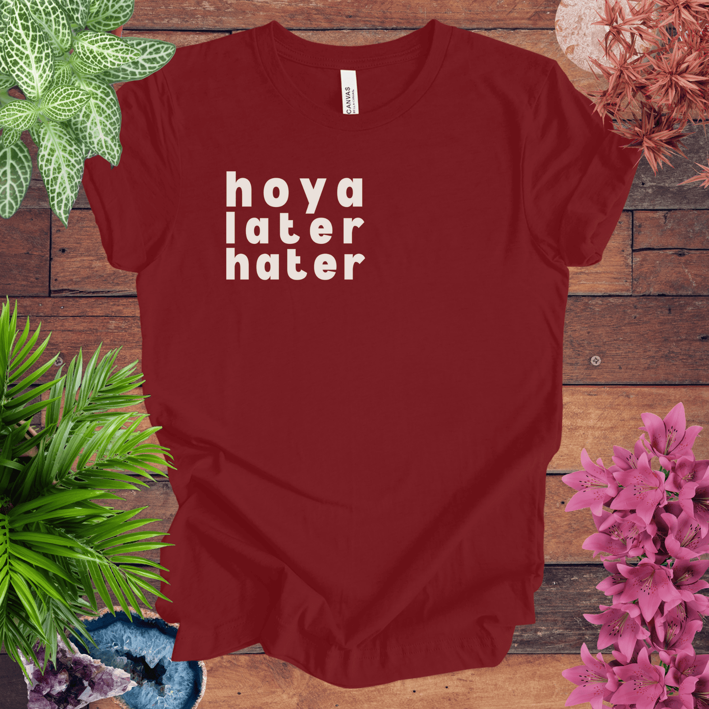 Printify T-Shirt Cardinal / S Hoya Hater Later T-Shirt