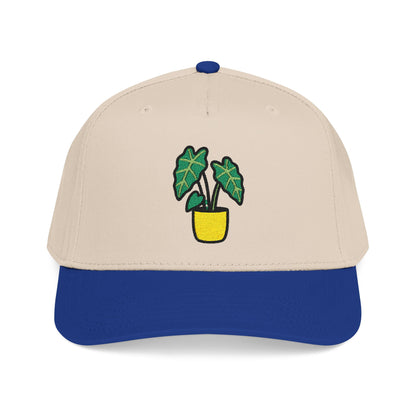 Alocasia Shield Embroidered Hat - Plant Lover Gift