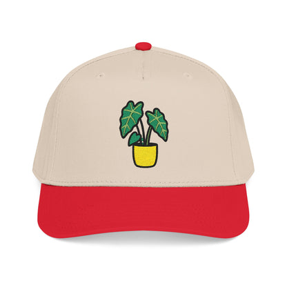 Alocasia Shield Embroidered Hat - Plant Lover Gift