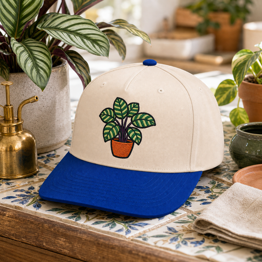 Calathea Stripes embroidered hat in Royal / Natural on a bright tile plant counter