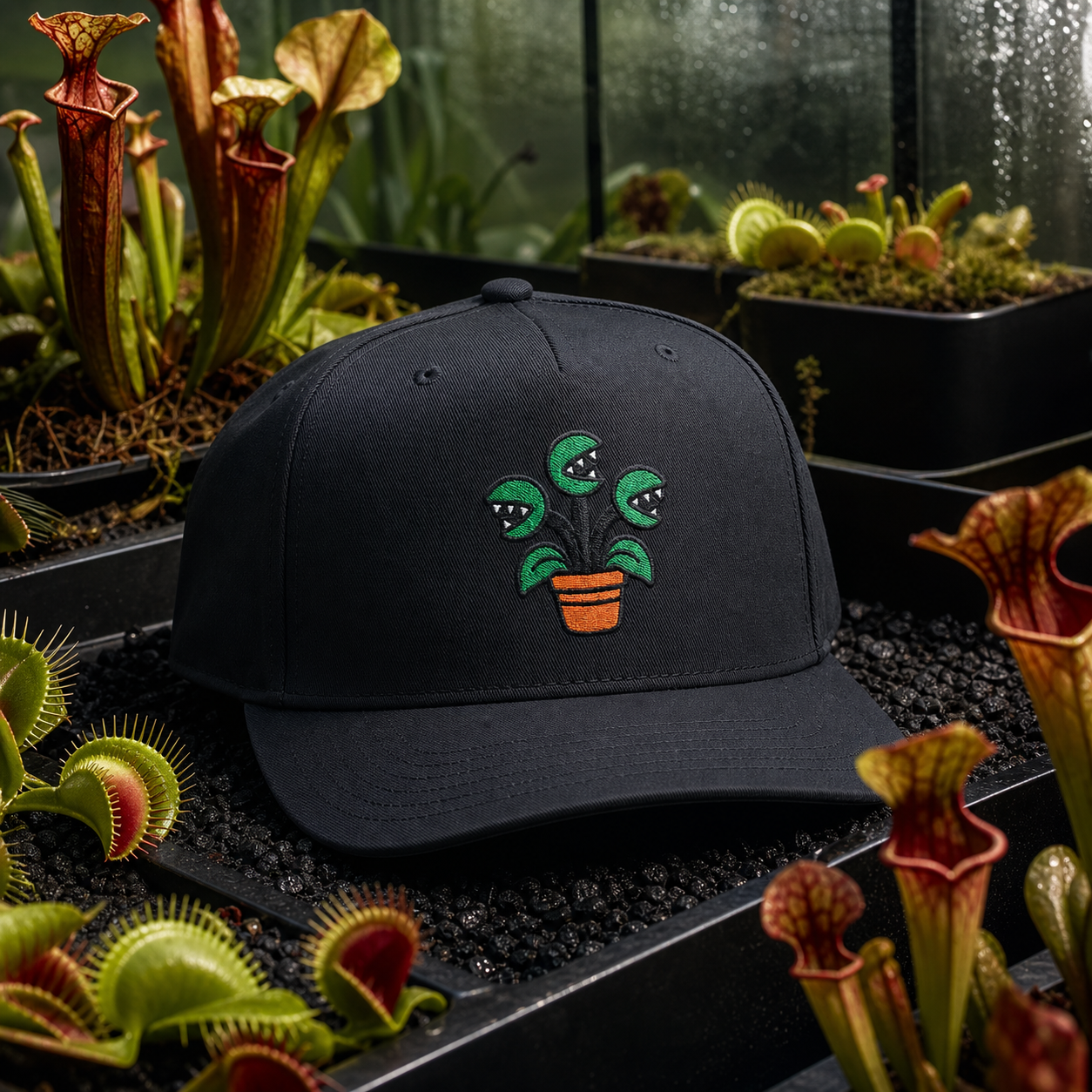 Creep It Growing embroidered hat in Black