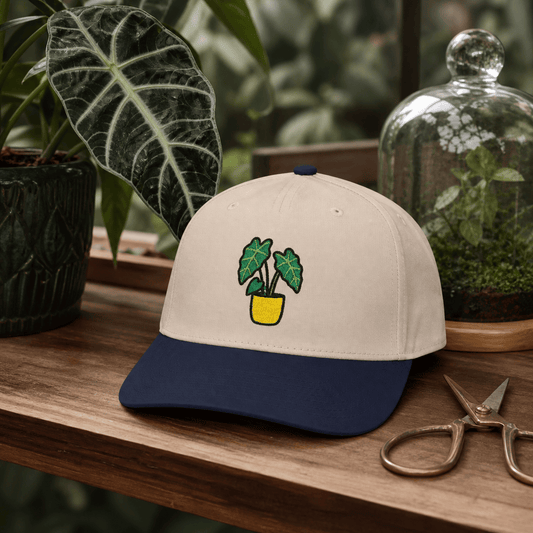 Printify Hats One size / Navy / Natural Alocasia Shield Embroidered Hat - Plant Lover Gift